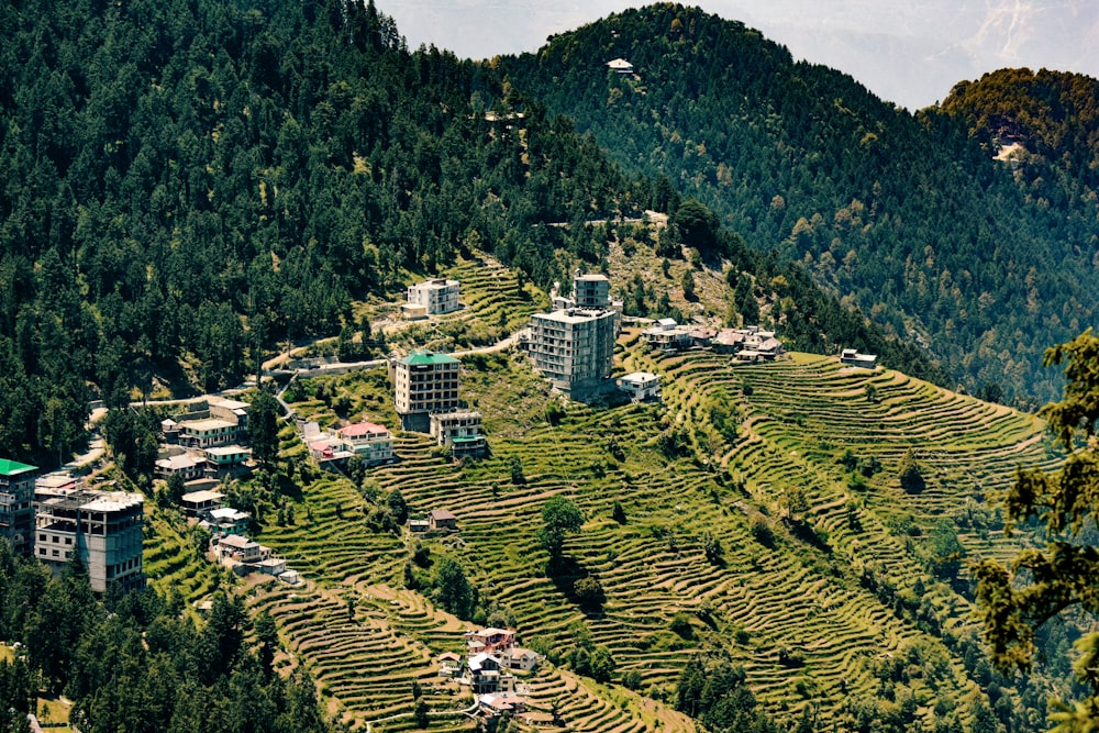 high-angle photography of green grass and buildings during daytime