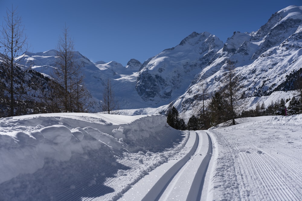 mountain coated with snow