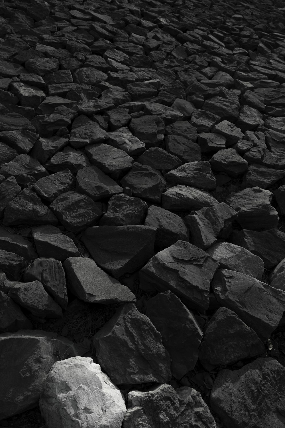 rocas negras y grises