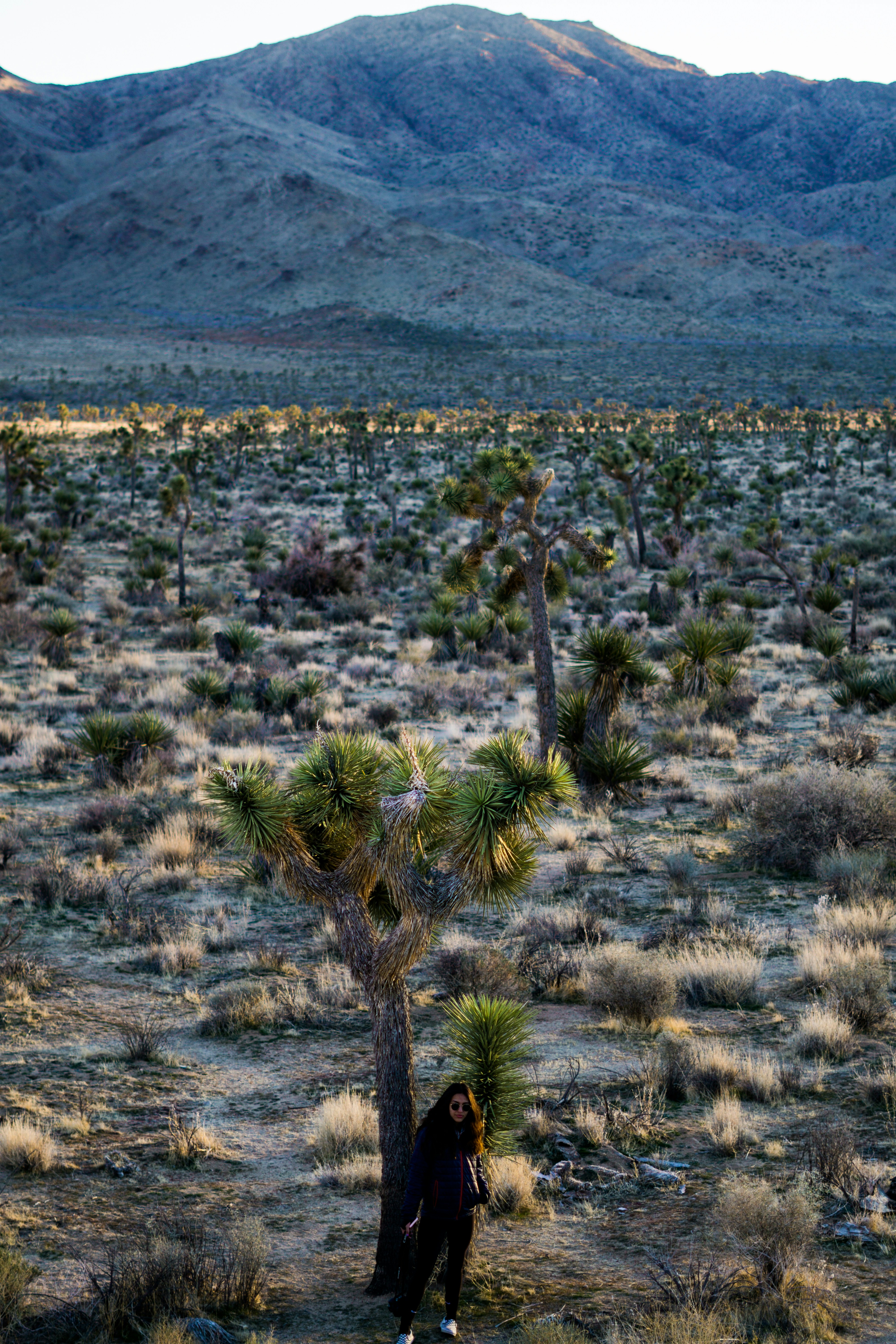 Photo by loganglantz