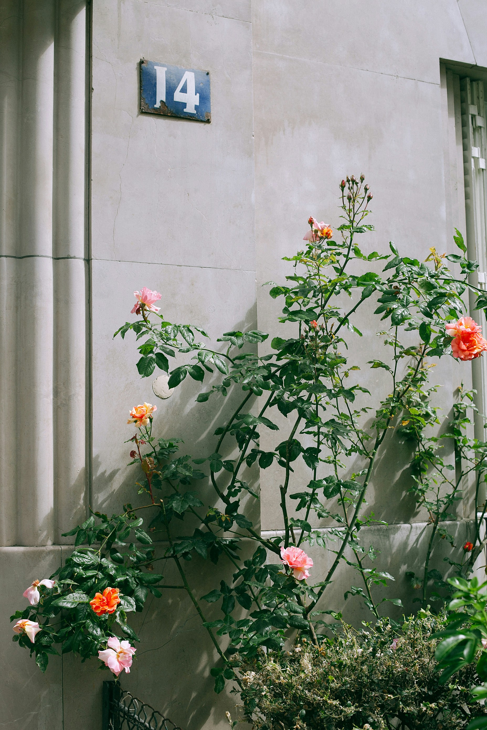 Photo by orlovamaria