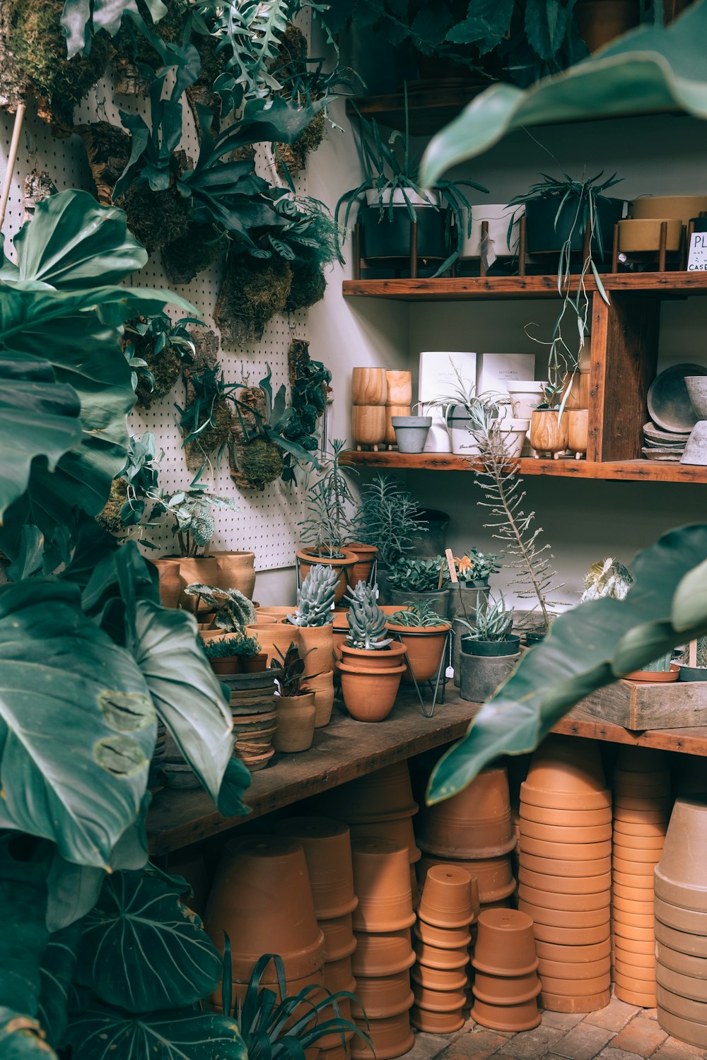 brown and black flower pots on shelf near green plants