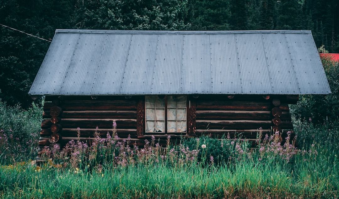 brown and gray shed