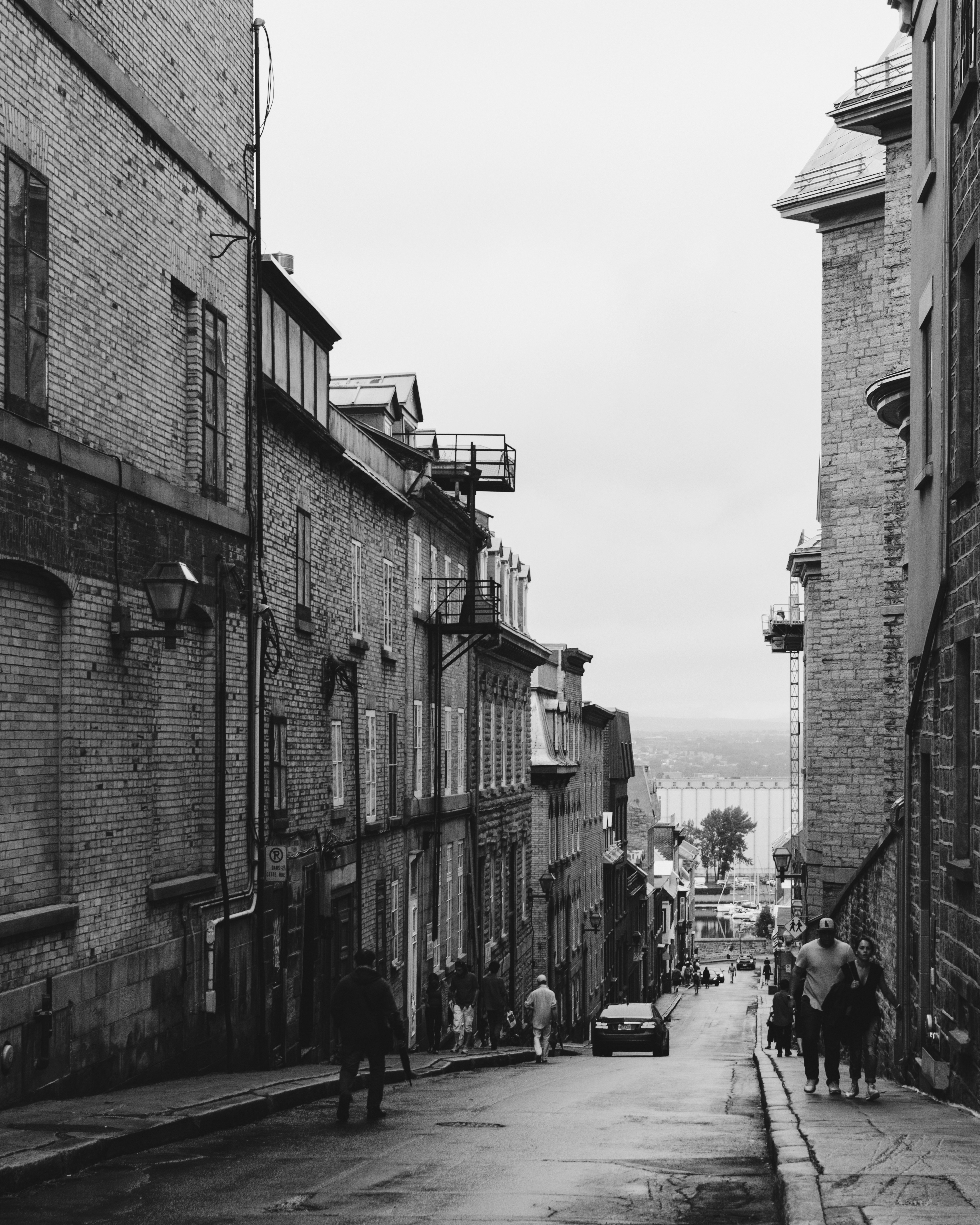 Photo by josenothose