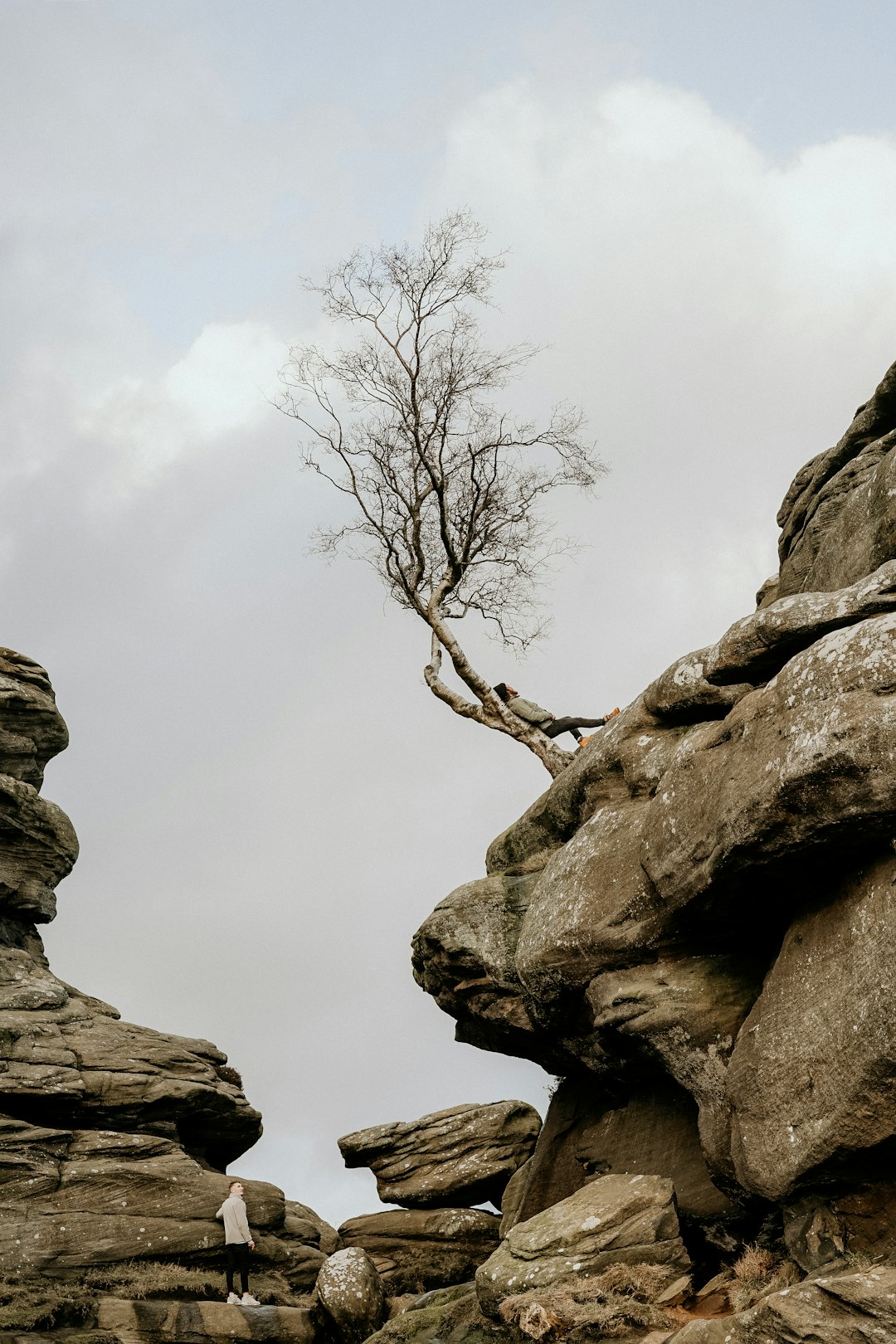 person leaning on tree on top of rock
