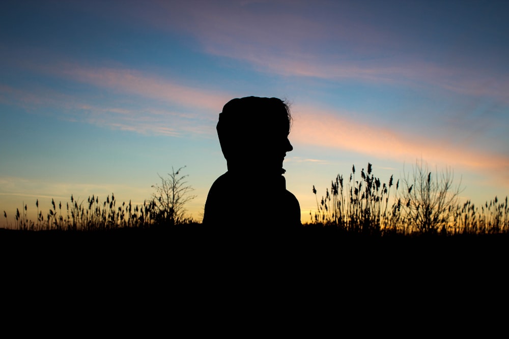 silhouette of man in grass field