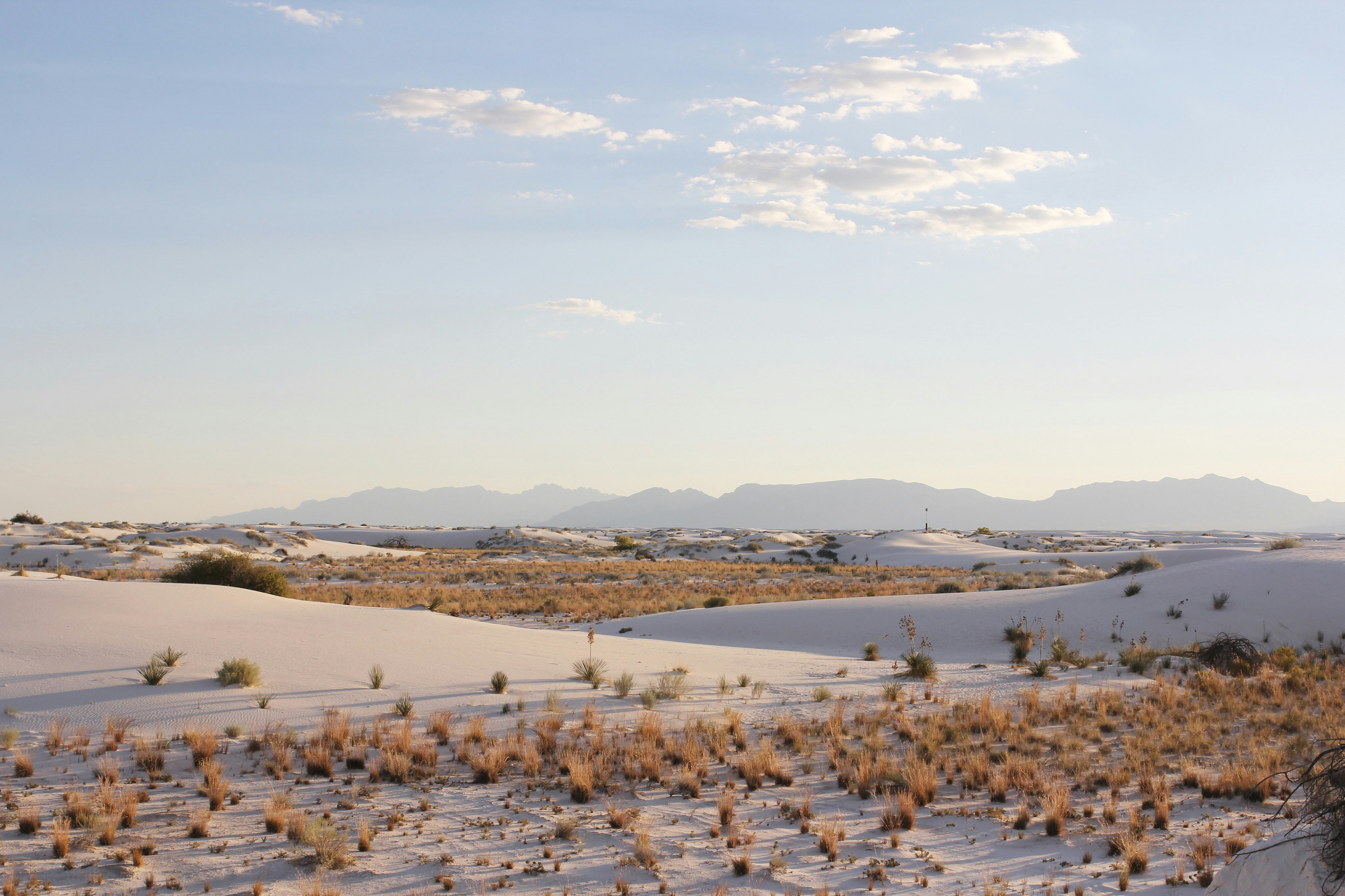 Photo by musicr1sing