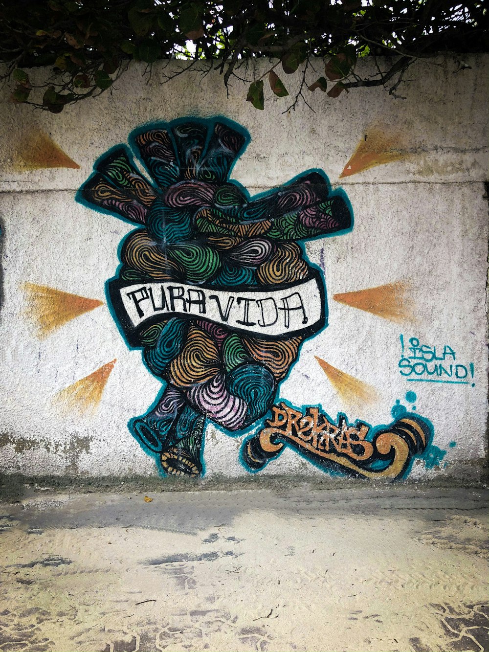 Pura Vida wall vandal art