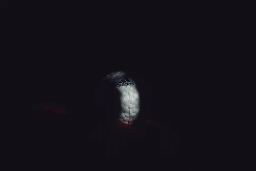 Close-up of a premium leather football resting on dark turf under moody lighting.