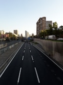 A multi-lane highway flanked by tall buildings under a clear sky. Several vehicles are visible on the road, including a red car and a truck. The sides of the highway feature concrete barriers and graffiti. Trees and urban structures surround the area, with a long view of the cityscape in the background.