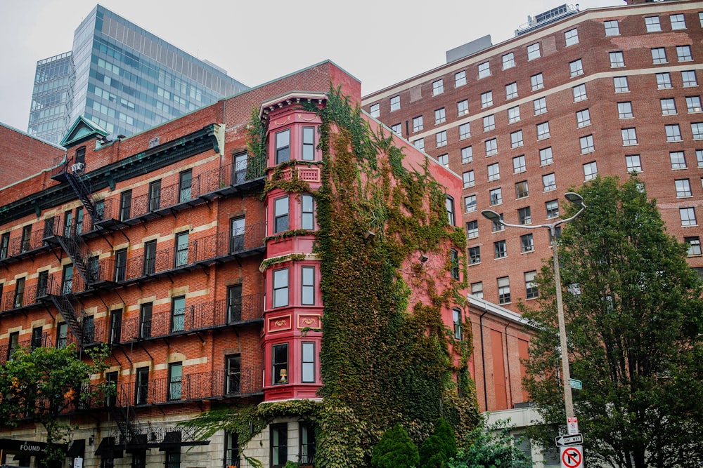 low angle photo of red concrete buildings