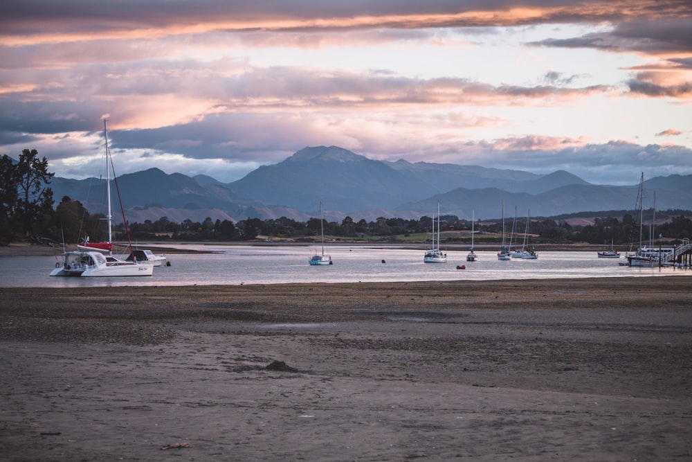 sailboats under gloomy sky