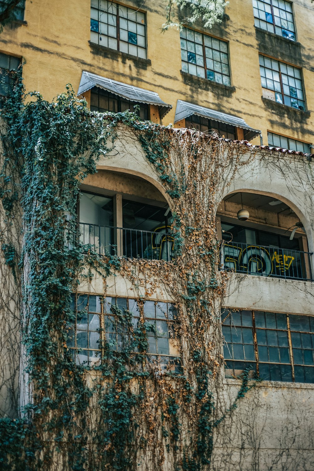 low angle of concrete building