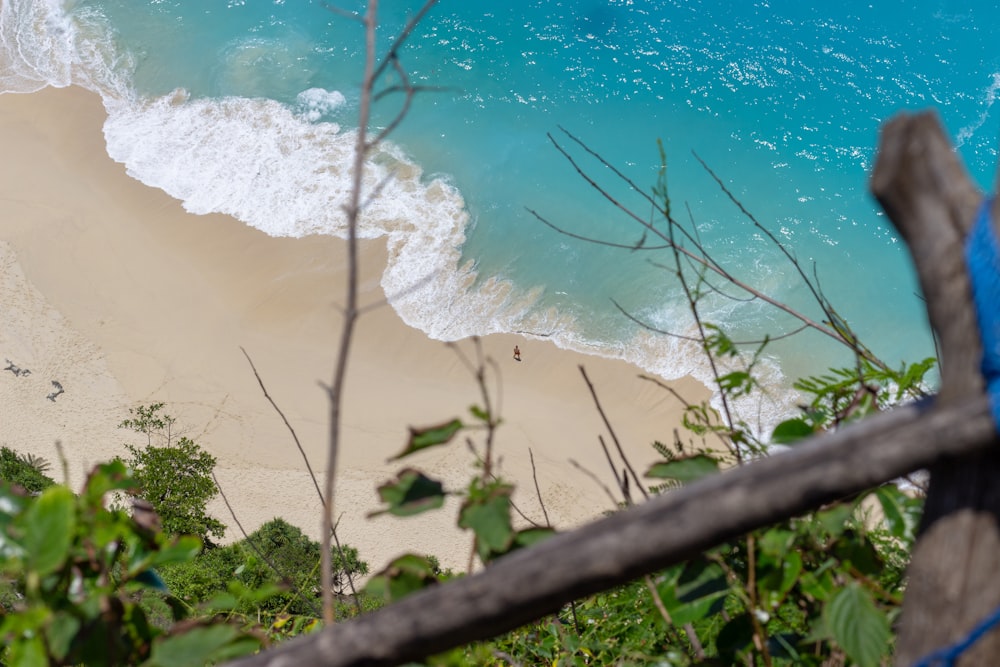 white sand and blue sea photography