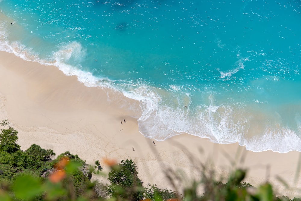 aerial photo of clear blue sea