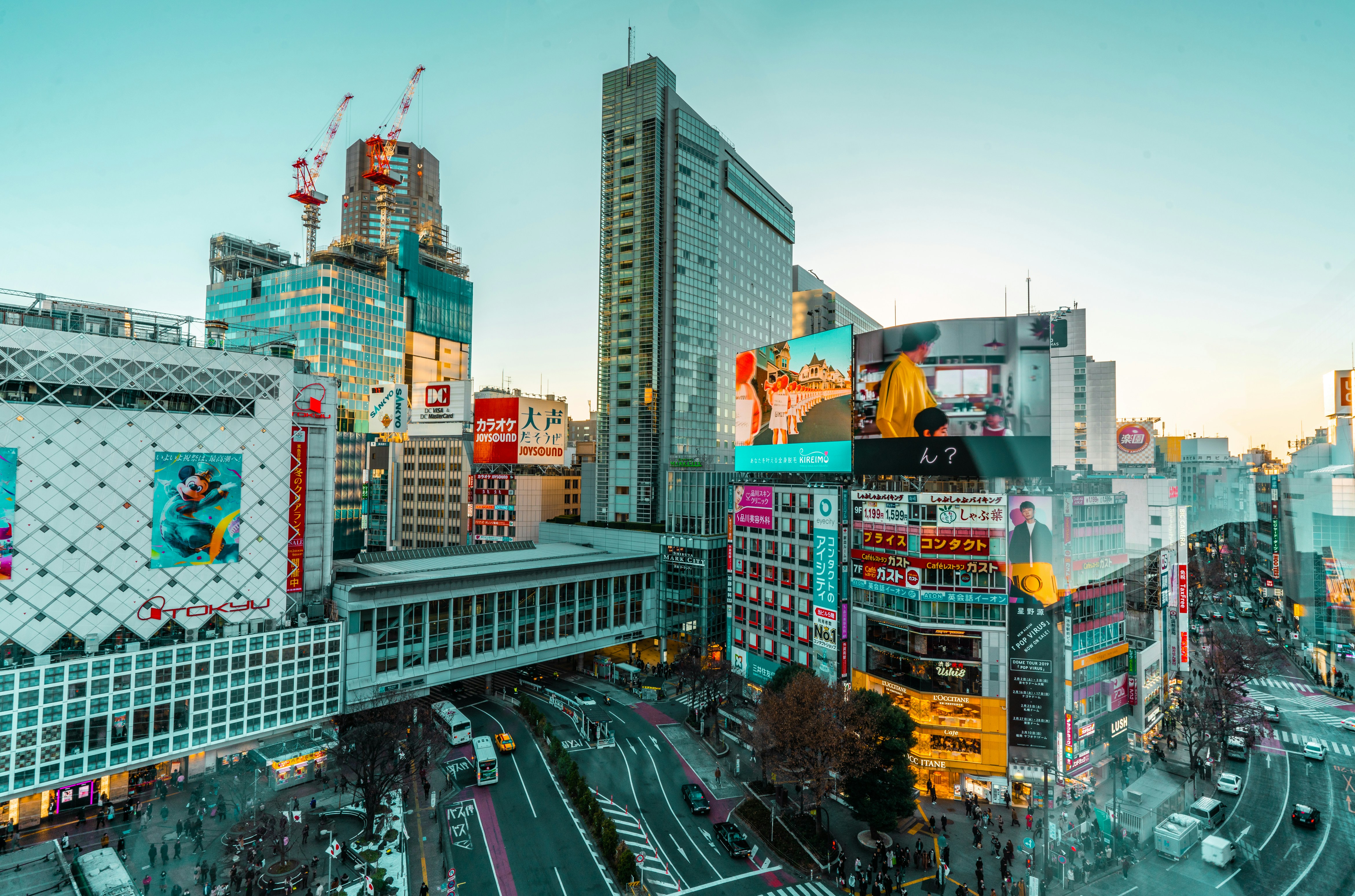 长垣广告创新突破，市场动态与未来展望