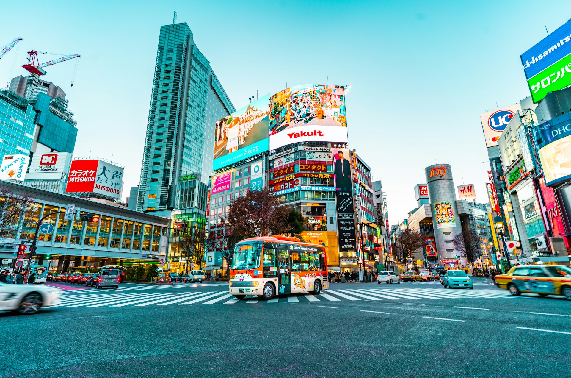 Shinjuku neon