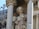 A stone sculpture of an angel with curly hair and a gentle smile, positioned between two ornate columns. The angel holds a draped garment and features detailed wings. The background includes gothic architecture elements and decorative carvings.