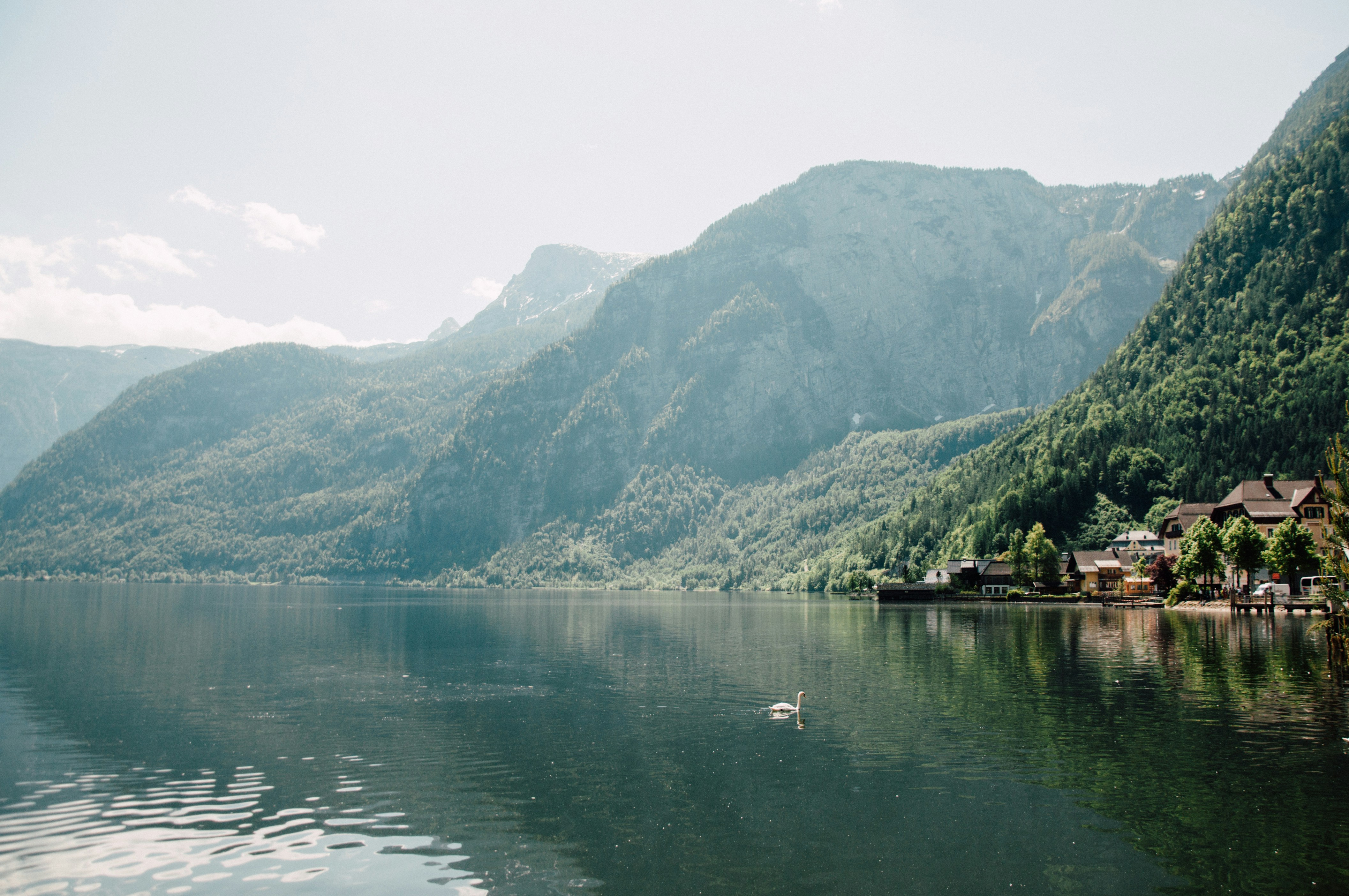 Photo by jennieramida