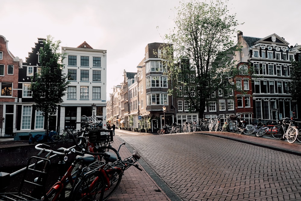 bicycles near the white buildings during daytime