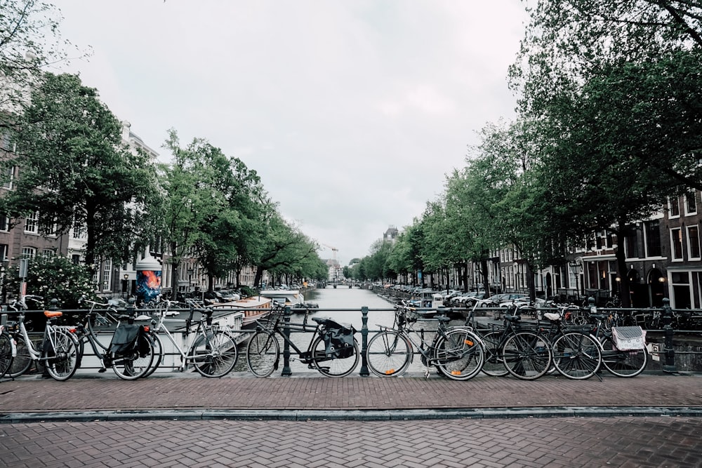 bicycles parked on bridge during dayime