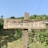 A weathered wooden sign with the words 'USE ME' carved into it, situated outdoors. Behind the sign, there's a lush green landscape featuring various plants, trees, and a bamboo fence. The sky is clear and blue, and there's an electrical wire running parallel to the horizon.