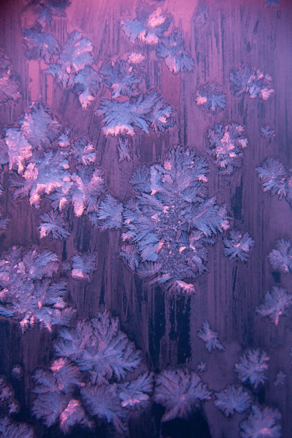 arte de partículas de gelo