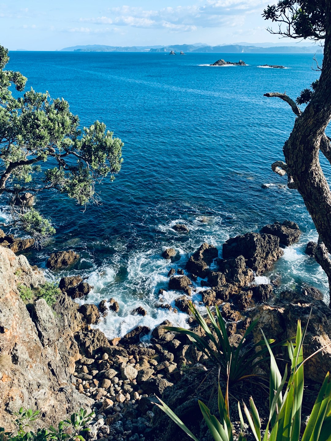 Shore photo spot 216L Matapaua Bay Rd Waiheke Island