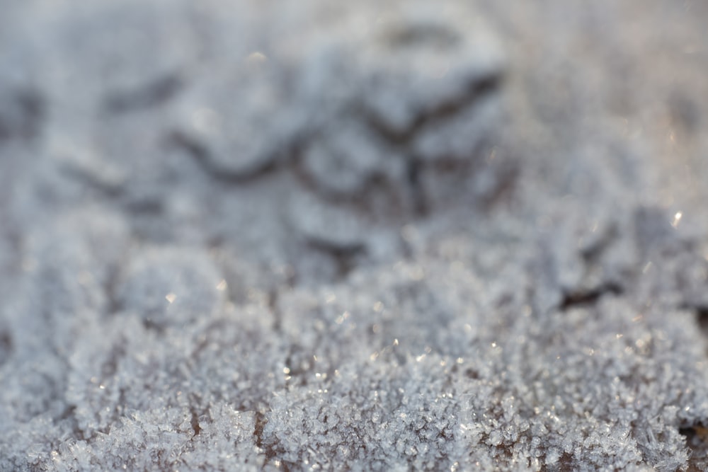 a close up of snow on the ground