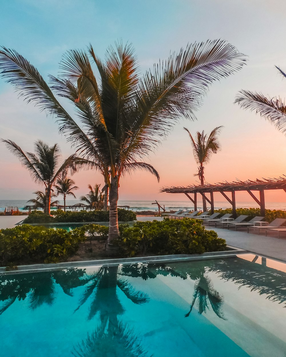 palm tree near pool during daytime