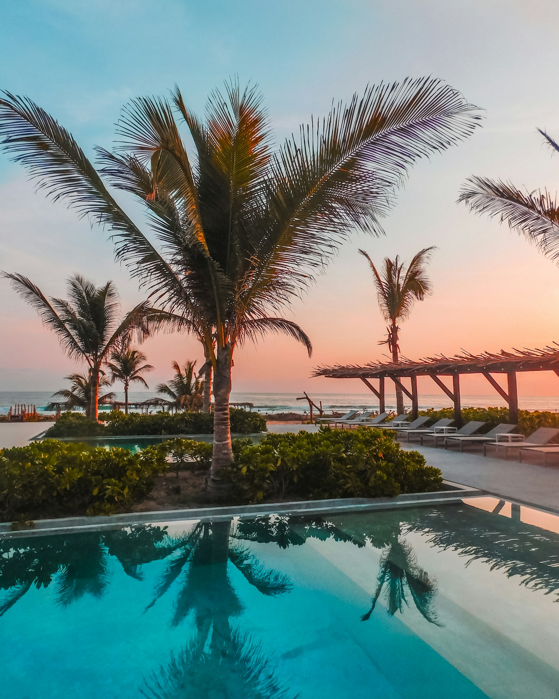 palm tree near pool during daytime