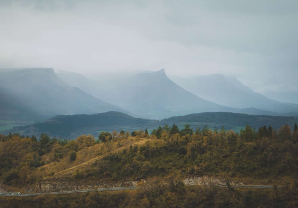 trees and mountains