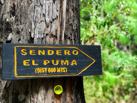A wooden sign attached to a tree shows a directional arrow with the text 'Sendero El Puma (Dist 600 mts)' in bright yellow lettering with a forest in the background. A small yellow bottle cap is embedded into the tree below the sign.