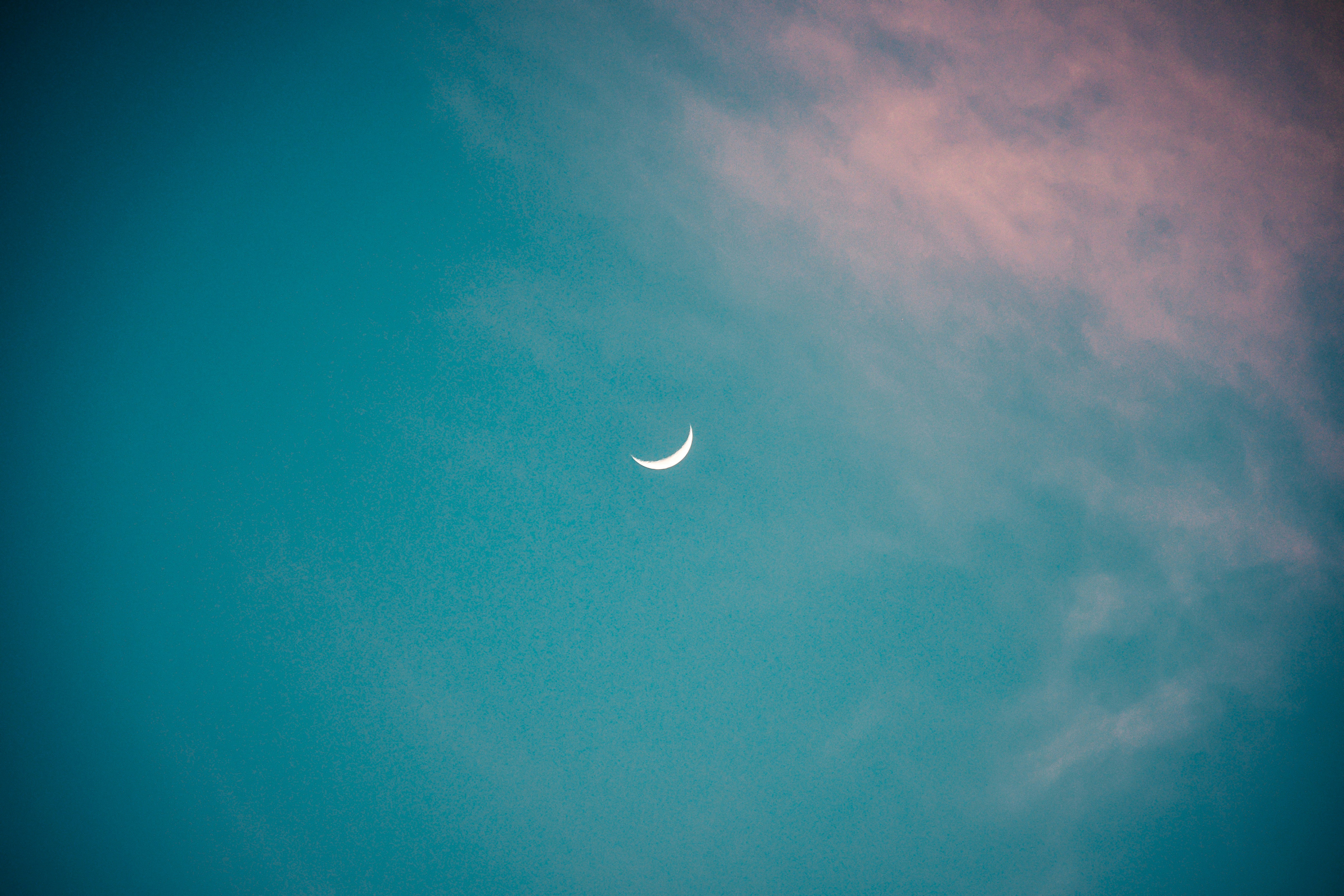 Photo by guss_bedolla