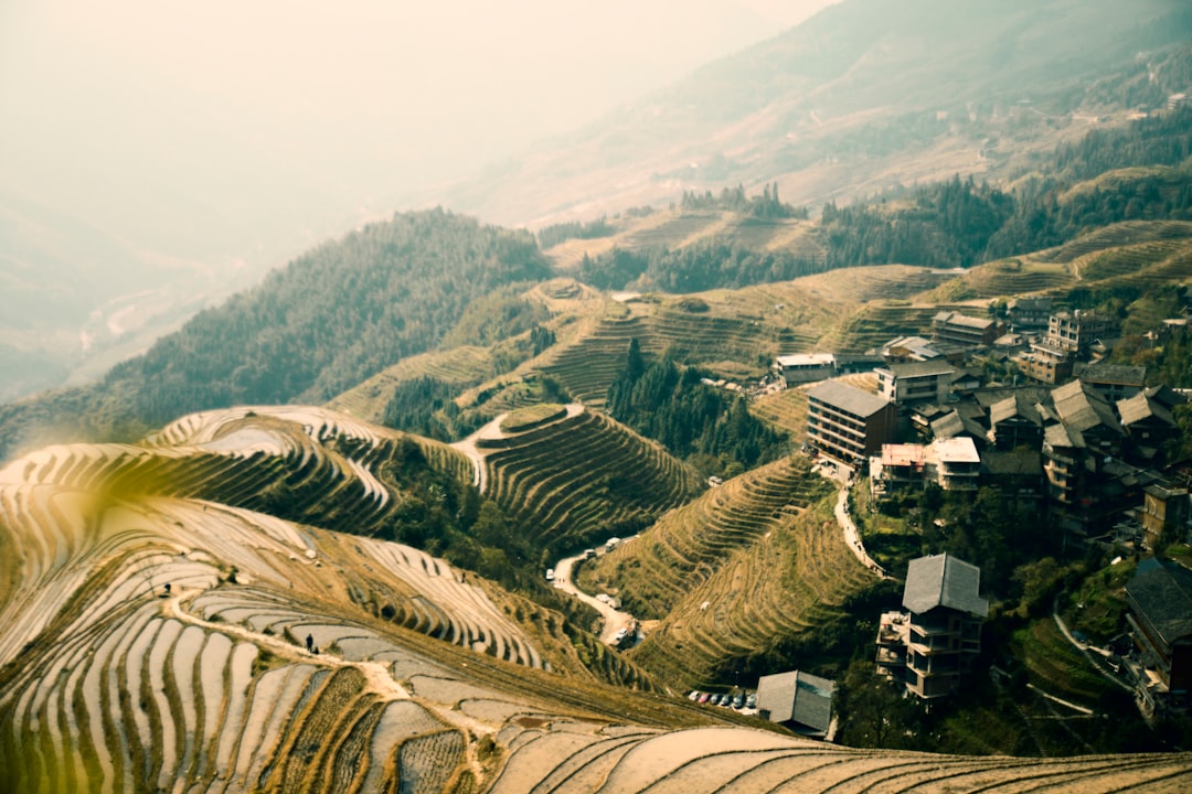 aerial photography of rice terraces during daytime