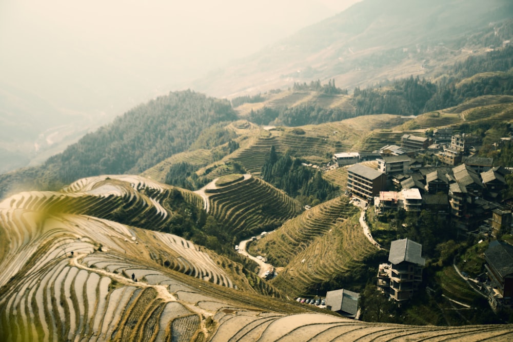 aerial photography of rice terraces during daytime