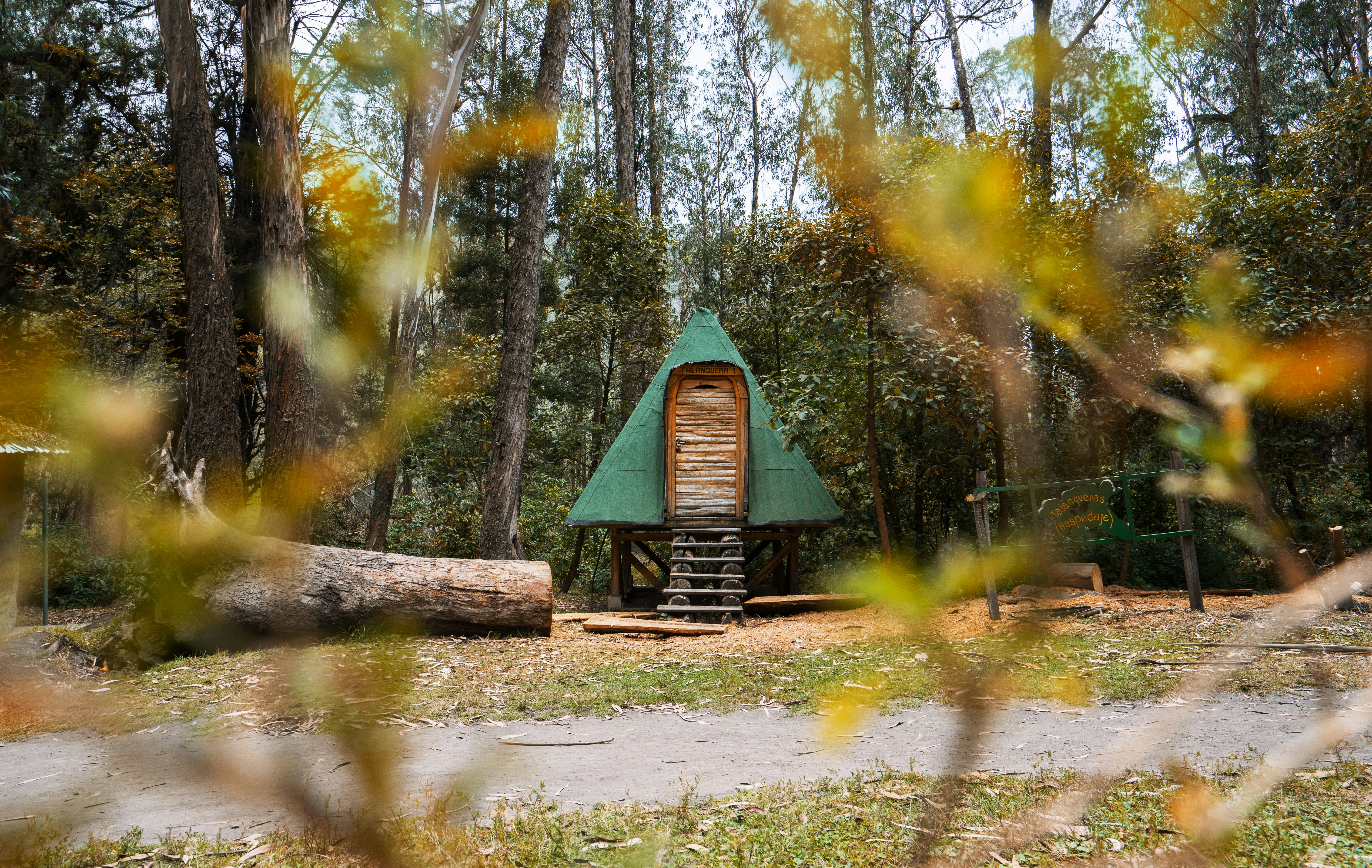 Forest survival shelter, Wilderness woods evening, Handmade wood hut, ilustrasi artikel Mastering Survival: How to Build a Life-Saving Emergency Shelter in the Wild 8