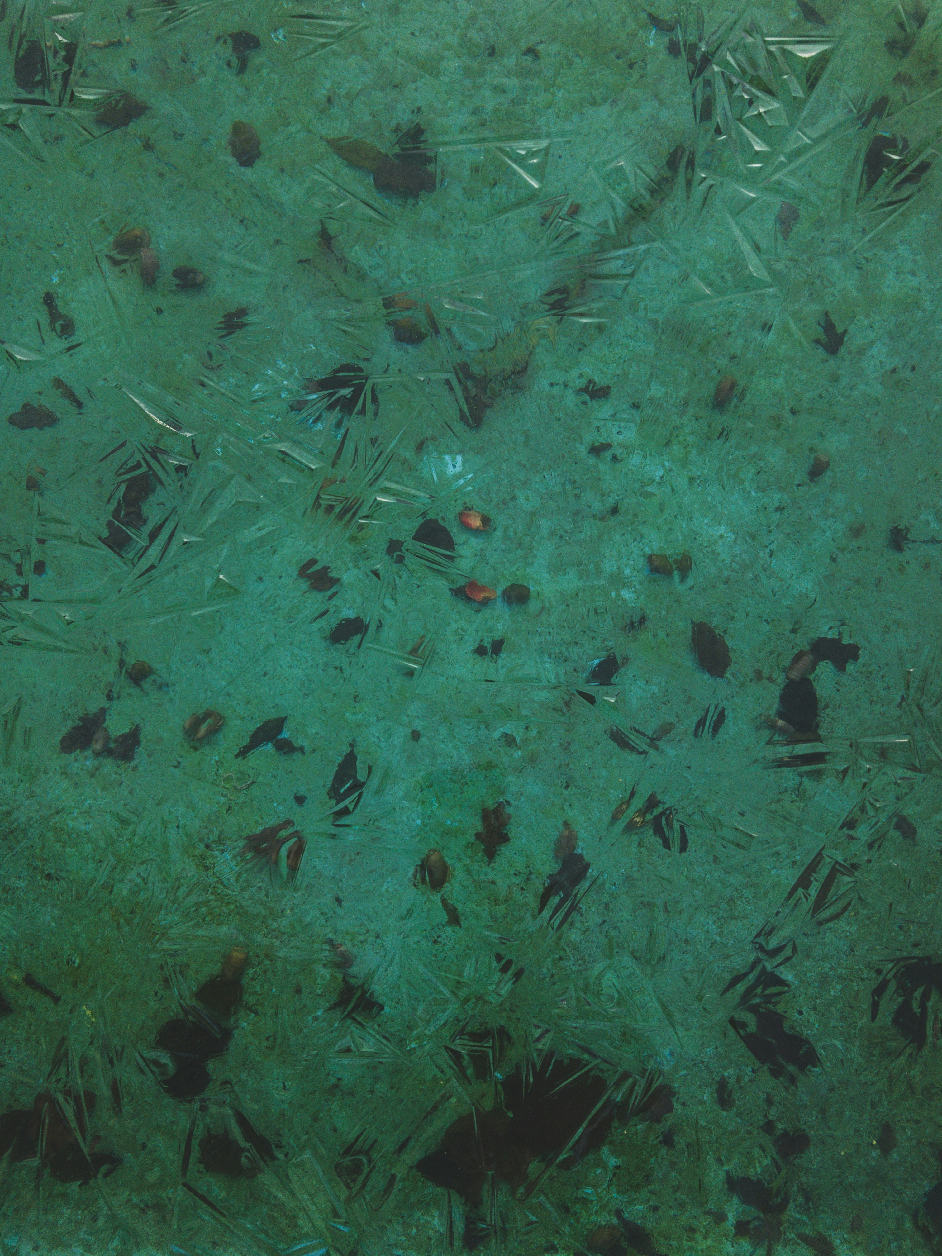 The Interference Effect: Why Concurrent Training Compromises Both Goals