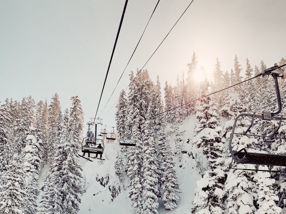 people riding cable cars during daytime