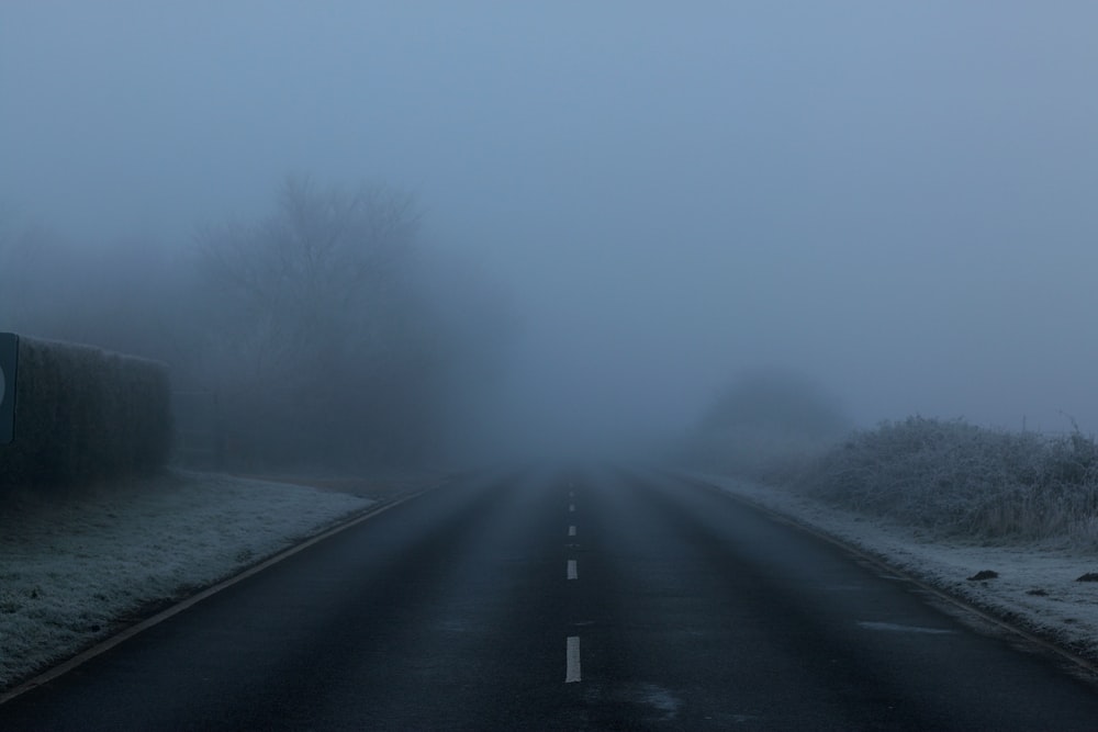 gray road in between snow-covered field