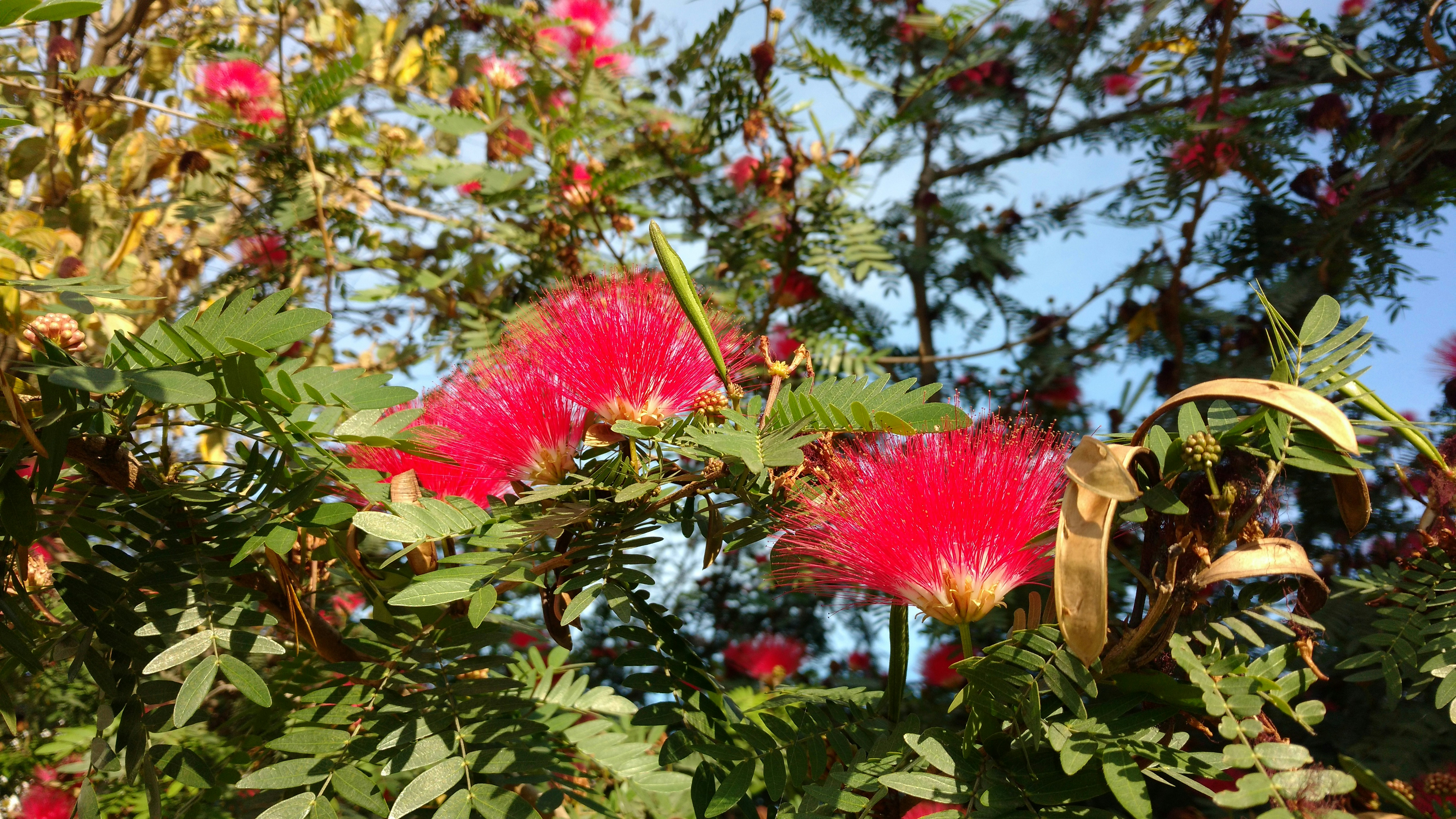 Photo by madhusmita_dutta