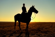 Sunset silhouette of a rider on horseback in an open field.