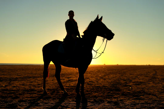 A rider silhouetted against a fiery sunset atop a sturdy Mongolian horse amid sweeping desert dunes.