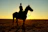 Horse and rider silhouetted against a golden sunset over the beach.