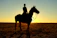 Horse and rider silhouetted against a golden sunset over the beach.