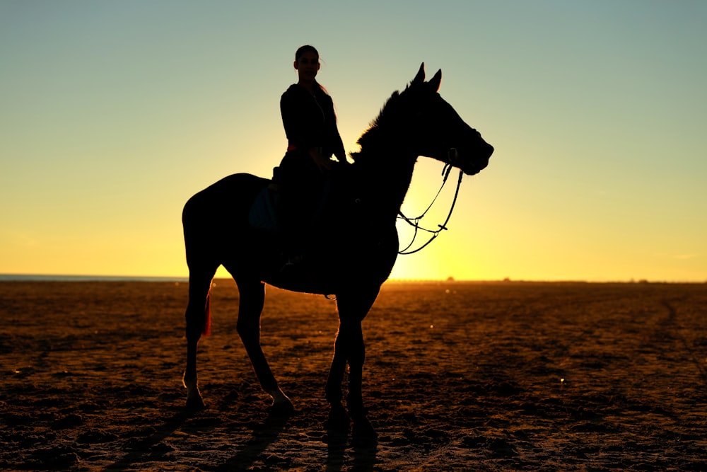 fotografia da silhueta da pessoa que monta o cavalo