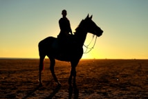 A silhouette of a person riding a horse is set against the backdrop of a sunset on an open beach or desert landscape. The sky is softly illuminated with hues of yellow and orange, creating a striking contrast with the dark outline of the horse and rider.