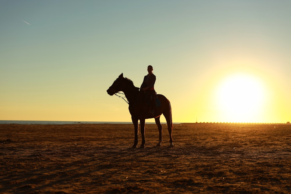 homme chevauchant un cheval brun au coucher du soleil
