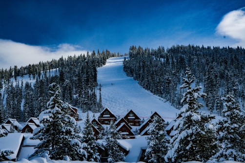 A snow-covered mountain slope with a ski run stretches through a dense forest of evergreen trees. Several wooden cabins with steep roofs are nestled among the tall trees. The sky above is a vibrant blue with some clouds, adding contrast to the snowy landscape.