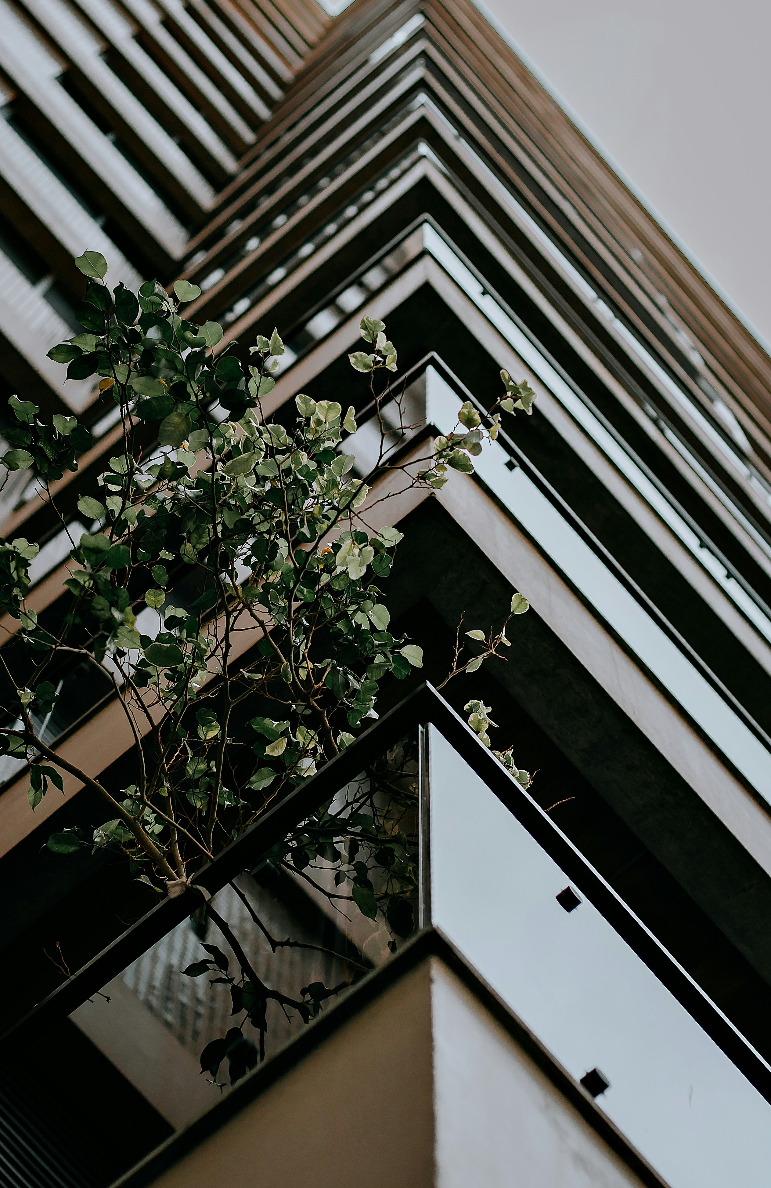 Building Long-Term Resilience With Oxalate Sensitivity